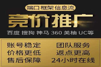 竞价推广公司案例揭秘：如何利用数据分析提升广告效果